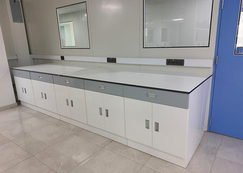 Lab Fume Hood 1