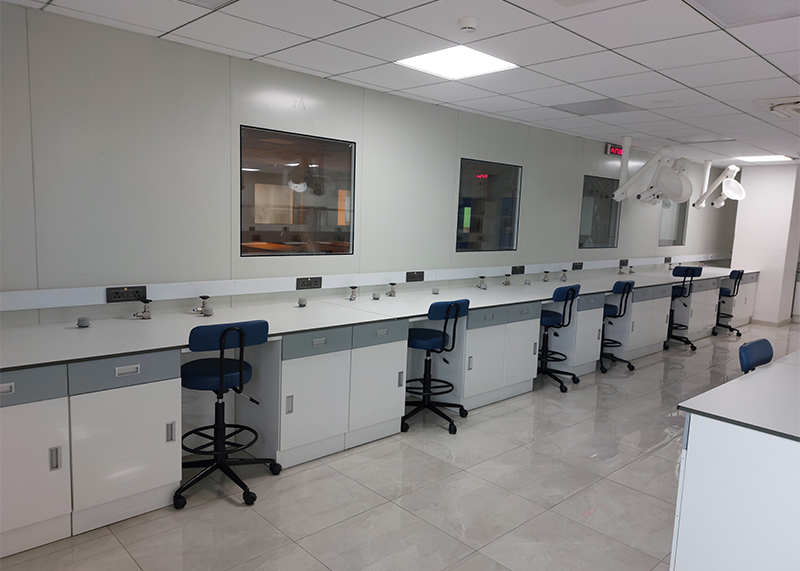 Lab Fume Hood 2