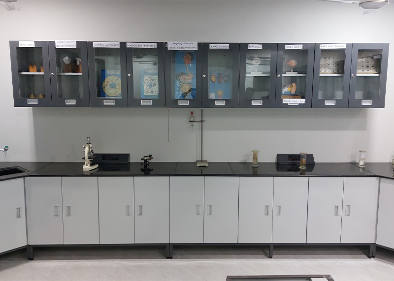 Lab Fume Hood 4